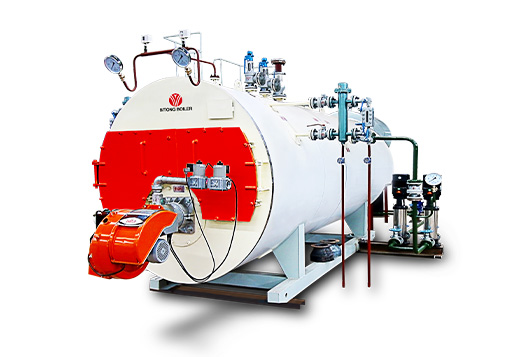 Паровой котел на мазуте и газе